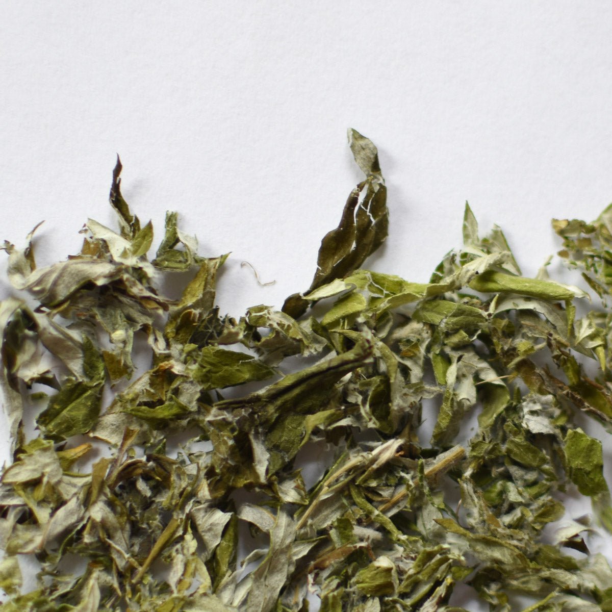 Armoise vulgaire | Feuille entière séchée (Artemisia vulgaris)