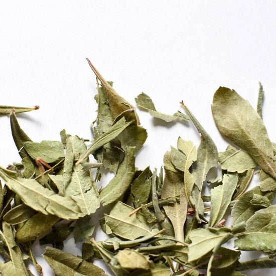 Myrique baumier | Feuille entière séchée (Myrica gale)