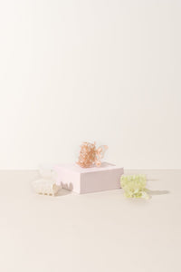 The Butterfly Collection