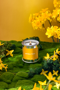 Golden Hour | Floral + Musk + Cedar
