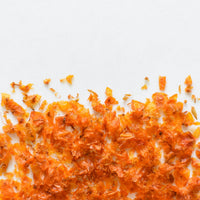 Argousier | Pulpe séchée (Hippophae rhamnoides)