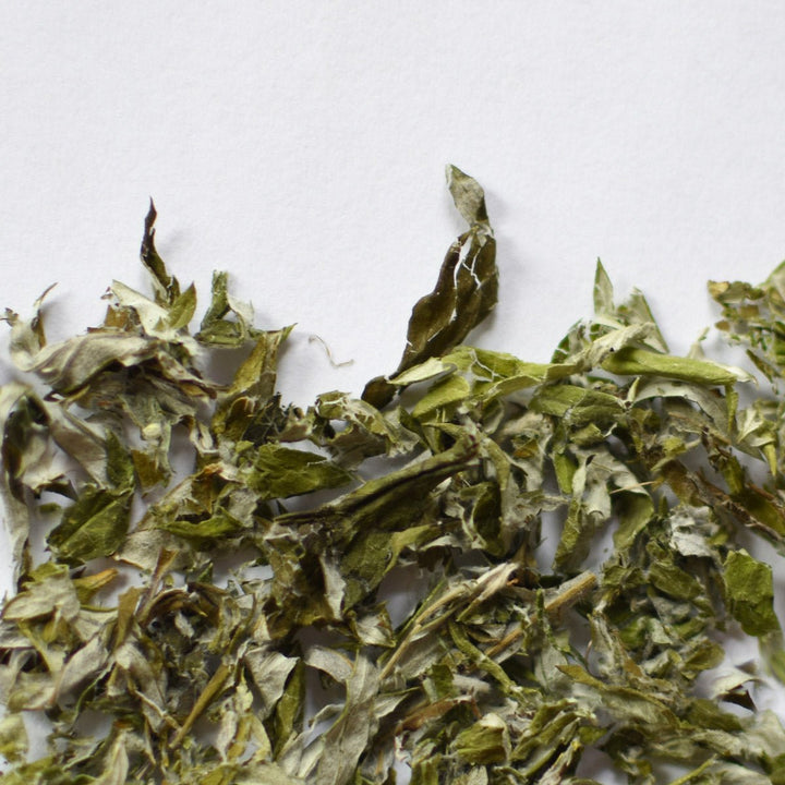 Armoise vulgaire | Feuille entière séchée (Artemisia vulgaris)