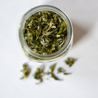 Armoise vulgaire | Feuille entière séchée (Artemisia vulgaris)