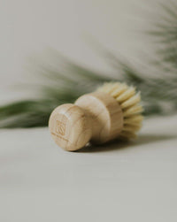 Bamboo Pot Brush