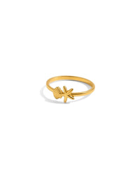 Coastal Ring