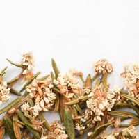Thé du Labrador | Fleur entière séchée (Rhododendron groenlandicum)
