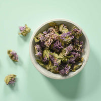 Monarde fistuleuse | Fleur entière séchée (Monarda fistulosa)