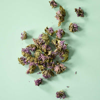 Monarde fistuleuse | Fleur entière séchée (Monarda fistulosa)