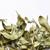 Myrique baumier | Feuille entière séchée (Myrica gale)