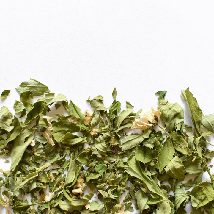 Quatre-temps | Feuille entière séchée (Cornus canadensis)