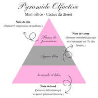 La bougie gourmande mini délice - Cactus du désert