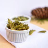 Sapin baumier | Pousse entière séchée (Abies balsamea)