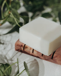 Solid Dish Soap Bar | Bergamot + Lime
