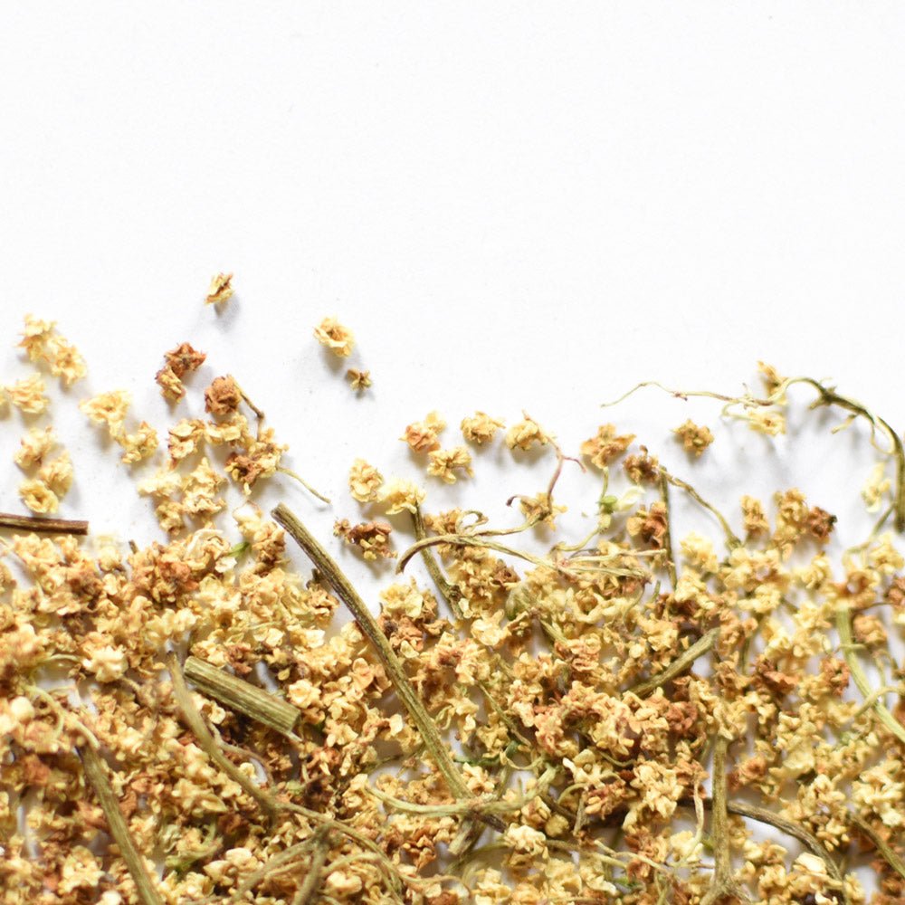 Sureau noir | Fleur entière séchée (Sambucus nigra)