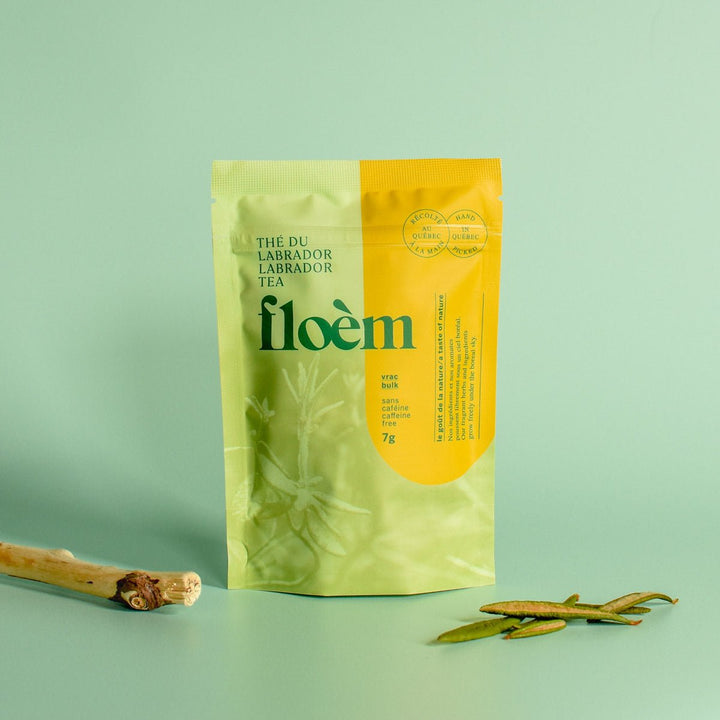 Thé du Labrador | Feuille entière séchée (Rhododendron groenlandicum)