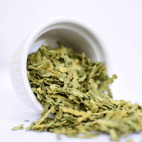 Thuya | Feuille entière séchée (Thuja occidentalis)