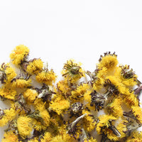 Tussilage | Fleur entière séchée (Tussilago farfara)