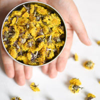 Tussilage | Fleur entière séchée (Tussilago farfara)